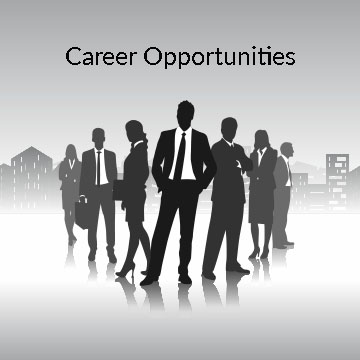 Career